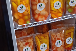 Indonesian Fruit Pickles